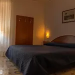 酒店 拉梅里狄亚娜酒店